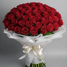 Букет 101 Красная роза Блэк Мэджик в Тахтамукай
