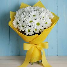 Букет цветов из:  Хризантемы в Тахтамукай