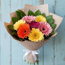 Букет цветов из:  Герберы #REPLACE_PRED# Тахтамукай
