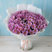 Букет цветов из:  Хризантемы в Тахтамукай