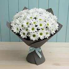 Букет цветов из:  Хризантемы #REPLACE_PRED# Тахтамукай