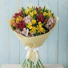 Букет цветов из:  Альстромерии в Тахтамукай