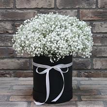 Цветочная композиция из Гипсофила в шляпной коробке #REPLACE_PRED# Тахтамукай