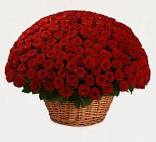 Премиум букет из: Розы в Тахтамукай