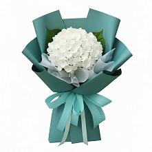 Букет цветов из:  Гортензия в Тахтамукай